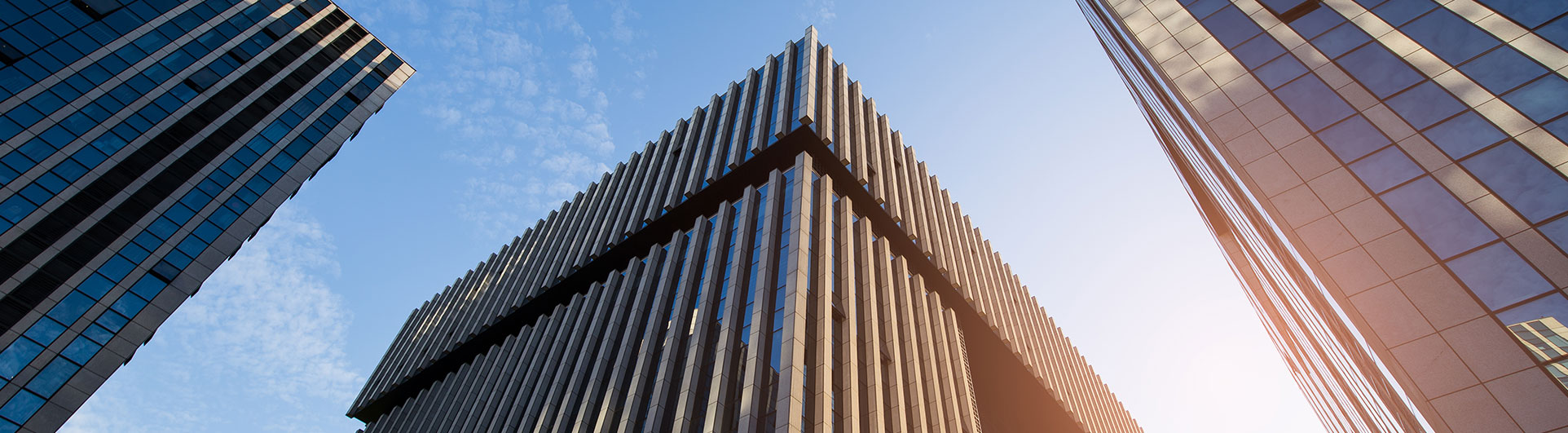 碧岭洋酒回收，碧岭虫草回收，碧岭五粮液回收